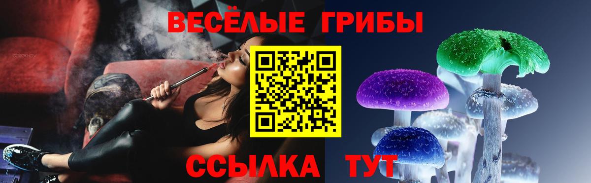 Галлюциногенные грибы мухоморы  Галлюциногенные грибы MAGIC MUSHROOMS  Долгопрудный  Вход с VPN 